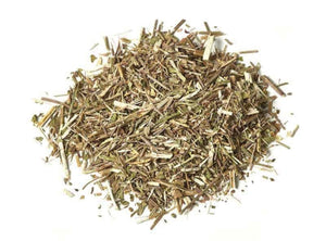 DRIED VERVAIN